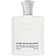 تصویری از Silver Mountain Water