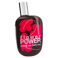 تصویری از Comme des Garcons 2 Flower Power