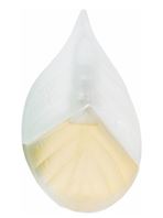 Parfum d'Ete 1992