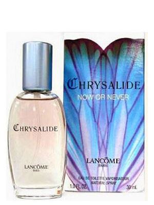 Chrysalide Now or Never