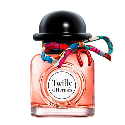 Charming Twilly d'Hermes