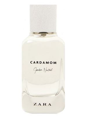 Cardamom - Gender Neutral