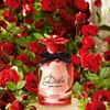 Dolce Rose