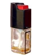 تصویری از Bic Homme