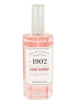 1902 Figue Blanche