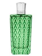 تصویری از Dalmatian Sage