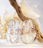 Omnia Crystalline Eau de Parfum (2024)