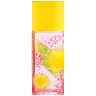 تصویری از Green Tea Mimosa