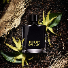 JOOP! Homme Absolute