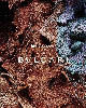Tygar x Refik Anadol